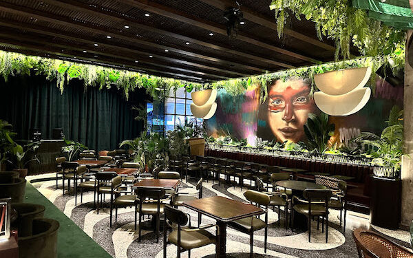 Creative Property: Have You Been To The Newly Opened “Carnival in the Jungle”, MAMASAMBA?