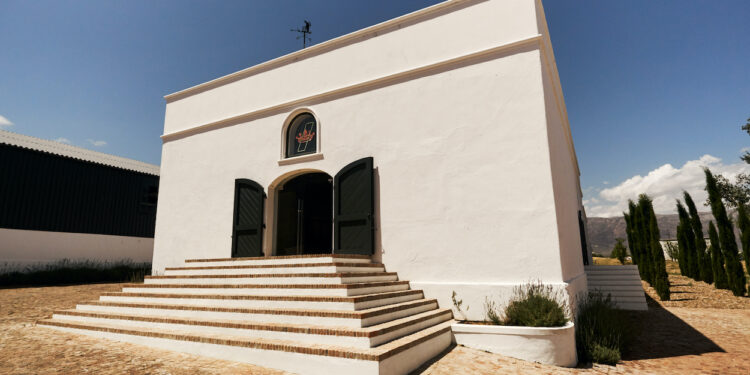 Three Emerging Artists Chosen To Exhibit At Seeds of the Fig in Tulbagh