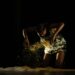 Rekindling Creativity: The Resurgence of the 49th National Arts Festival"