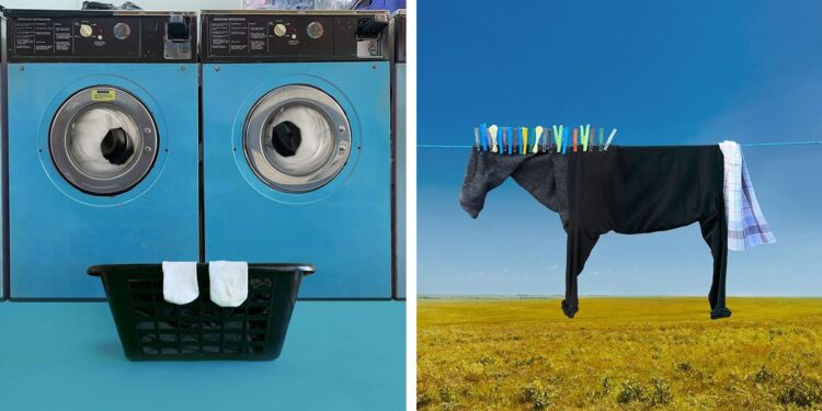 Exploring Boundless Creativity: Helga Stentzel's Extraordinary Artistry on a Washing Line