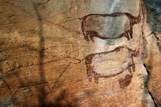 A Glimpse Into South Africa’s Ancient Past: The Significance Of Rock Art