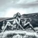 sinenkosi_msomii/instagram