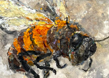 Experiencing Art Through A Zodiac Lens: Polarity In Pretoria