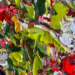 A Look Into Nature Through Sera Holland’s Paintings