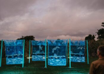 Art For Everyone: Spier’s Free Light Show Opens March 1st