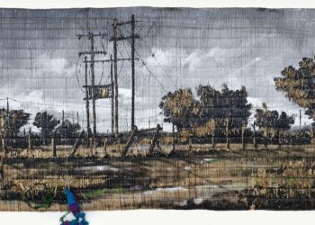 Experience the Beauty of South Africa Through Fumani Maluleke’s Eyes