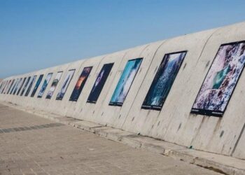 Sea Point Promenade Hosts Outdoor Photography Contest