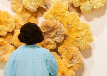 FNB Art Joburg Returns With A New Focus On Photography