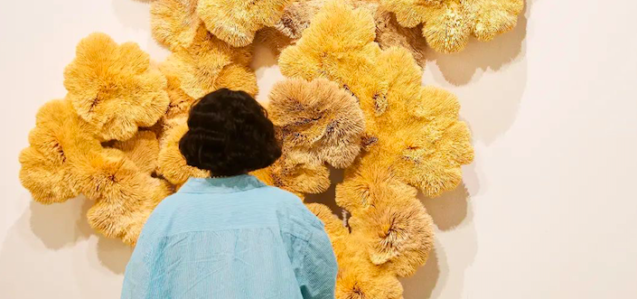 FNB Art Joburg Returns With A New Focus On Photography