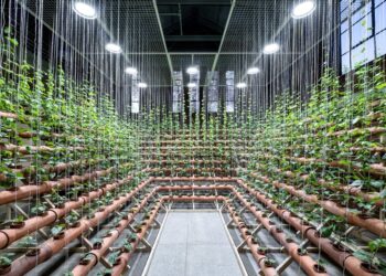 Ecospheres At JCAF: Urging A New Relationship With Nature