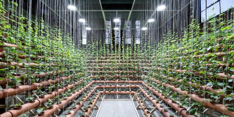 Ecospheres At JCAF: Urging A New Relationship With Nature