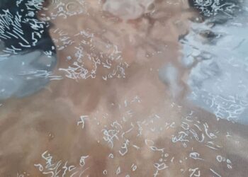 The Art Of Transience And Belonging In “Sojourn”