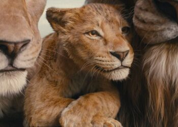 The Lion King’s Legacy Grows: Mufasa’s Story Unfolds