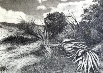 A ILE KAE: Frans Thoka’s New Exhibition On Reconciliation