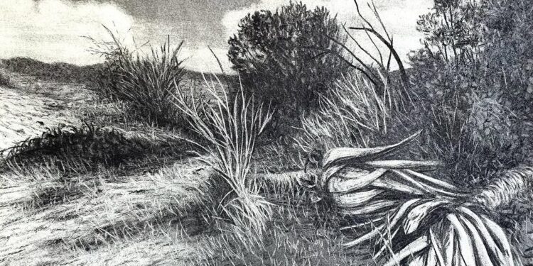 A ILE KAE: Frans Thoka’s New Exhibition On Reconciliation