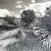 A ILE KAE: Frans Thoka’s New Exhibition On Reconciliation