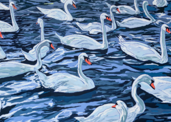 The Story Behind Adele Van Heerden’s “Prism” Series