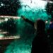 Spier Light Art 2026 Opens Call for Light and Video Art Submissions