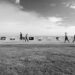 Stripped to Essence: Orms x Canon’s Outdoor Exhibition Returns to Sea Point