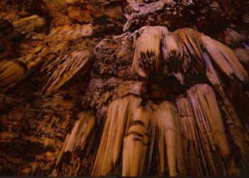 5 Things You Didn’t Know About The Bothongo WonderCave